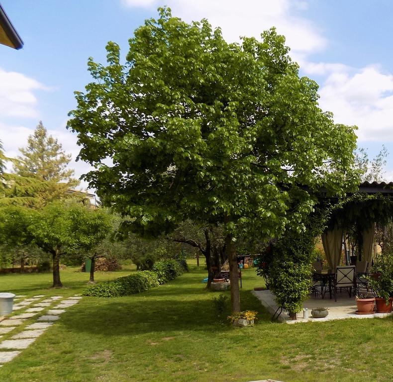 Bed and Breakfast Due Archi SantʼAmbrogio di Valpolicella Exterior foto