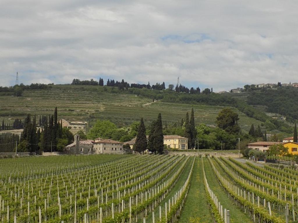 Bed and Breakfast Due Archi SantʼAmbrogio di Valpolicella Exterior foto
